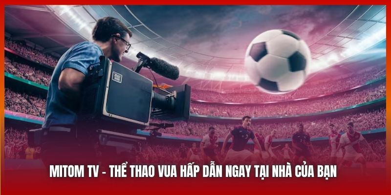 Mitom TV | Thể Thao Vua Cực Kỳ Hấp Dẫn Ngay Tại Nhà Của Bạn